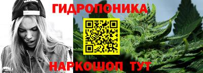 кокс Обь