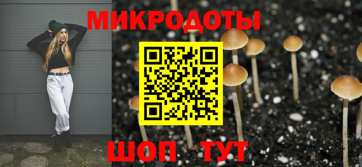 Псилоцибиновые грибы ЛСД Стрежевой