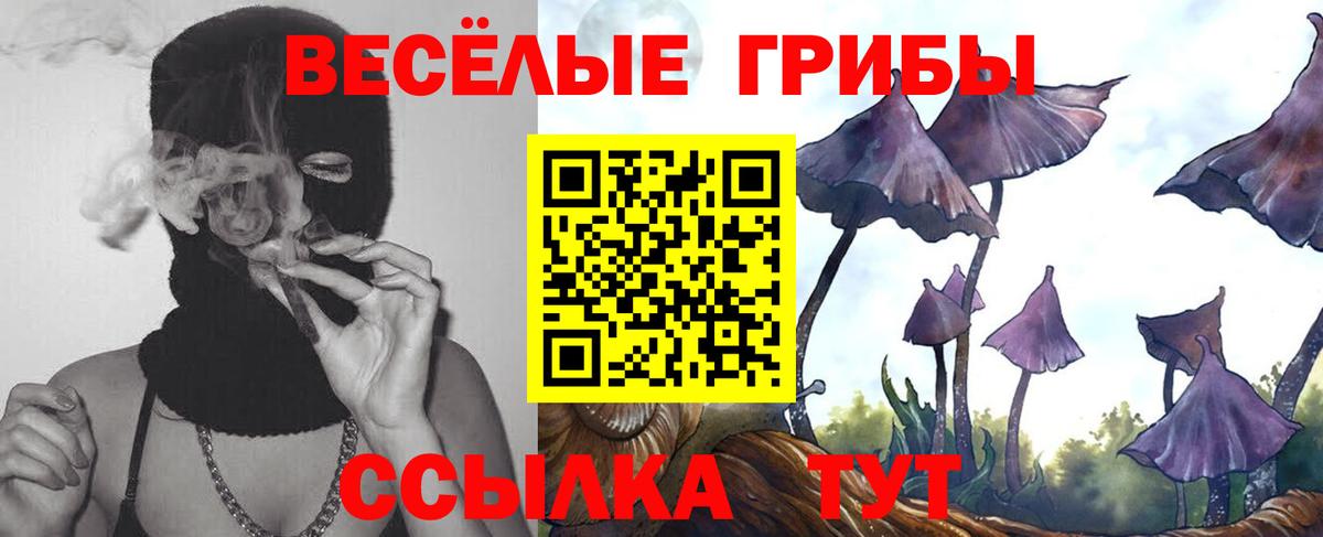 Стрежевой  Псилоцибиновые грибы Psilocybine cubensis  Вход с VPN  Галлюциногенные грибы Magic Shrooms 
